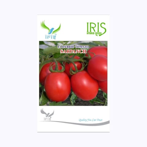 Iris Sarpanch Tomato Seeds