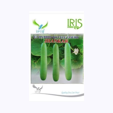 Iris Jhankar Bottle Gourd Seeds