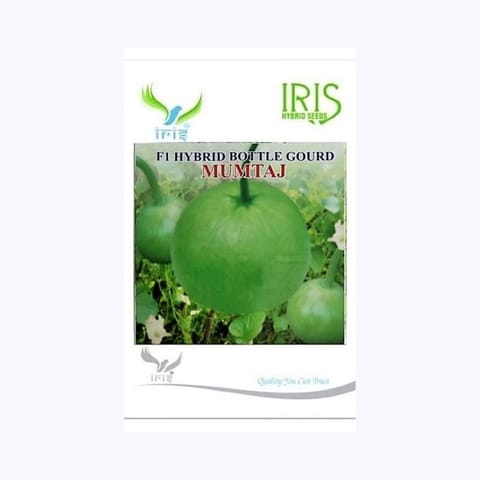Iris Mumtaj Round Bottle Gourd Seeds