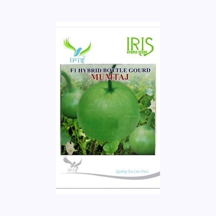 Iris Mumtaj Round Bottle Gourd Seeds