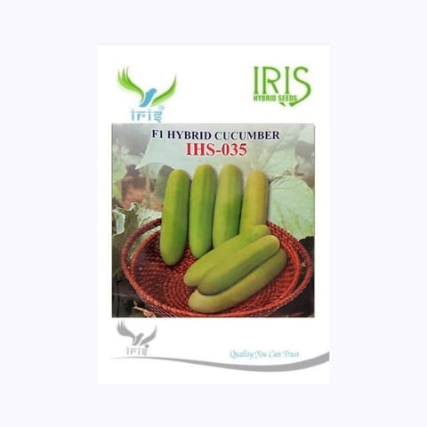 Iris IHS-035 Cucumber Seeds