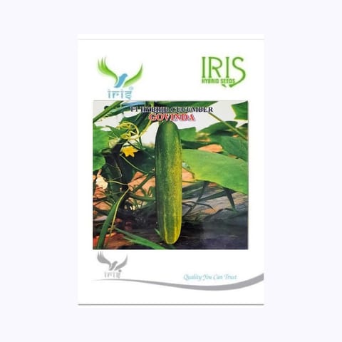 Iris Govinda Cucumber Seeds