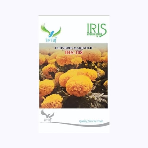 Iris IHS-108 Marigold Seeds