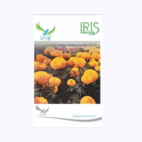 Iris IHS-303 Marigold Seeds