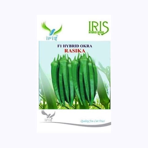 Iris Rasika Okra Seeds