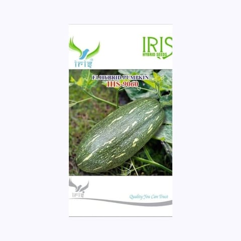 Iris IHS-9060 Pumpkin Seeds