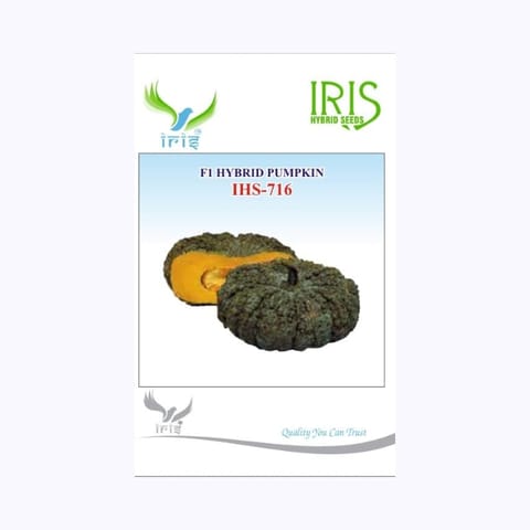 Iris IHS-716 Pumpkin Seeds
