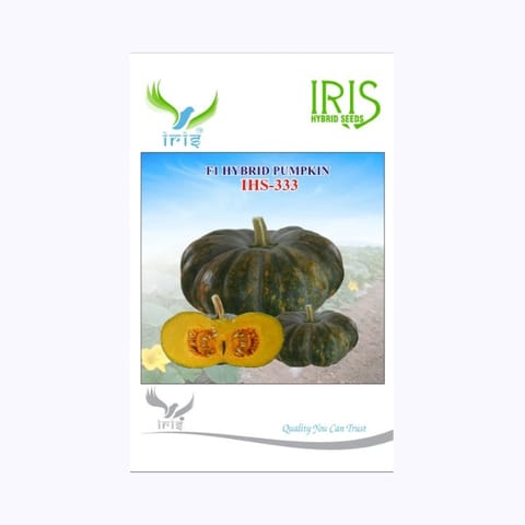 Iris IHS-333 Pumpkin Seeds