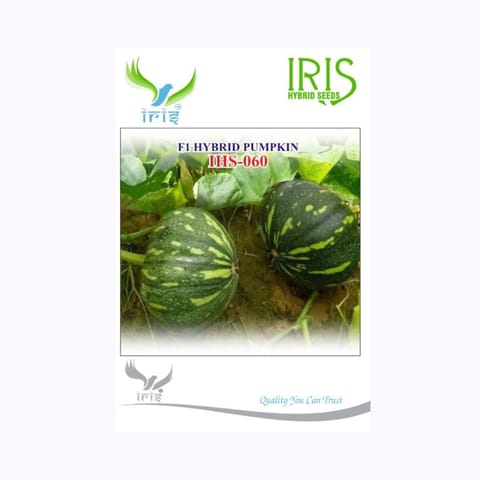 Iris IHS-060 Pumpkin Seeds