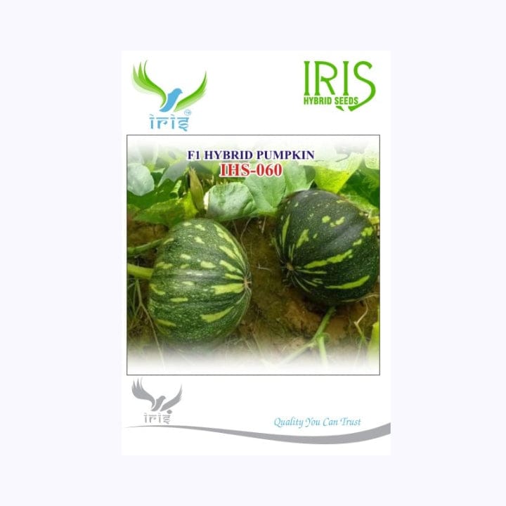 Iris IHS-060 Pumpkin Seeds