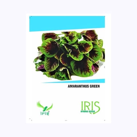 Iris Amaranthus Green Saag Seeds