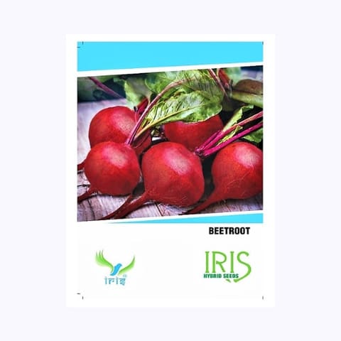 Iris Beetroot Seeds