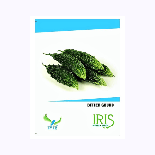 Iris Hybrid F1 Bitter Gourd Seeds