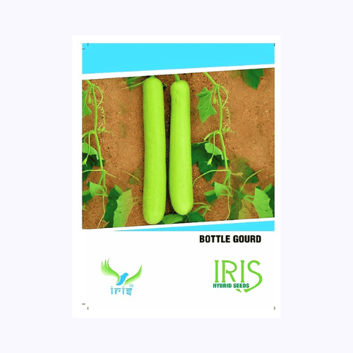 Iris Bottle Gourd Seeds