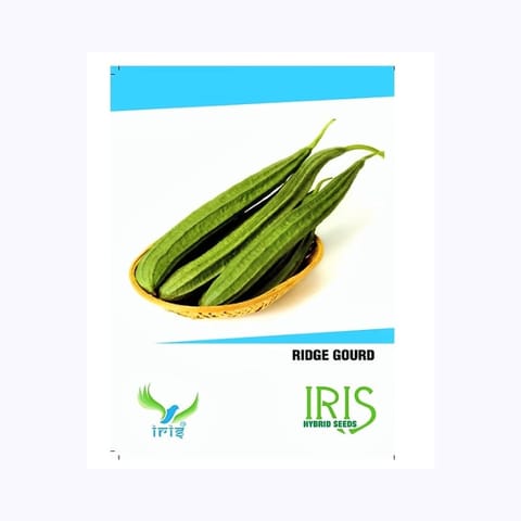 Iris Ridge Gourd Seeds