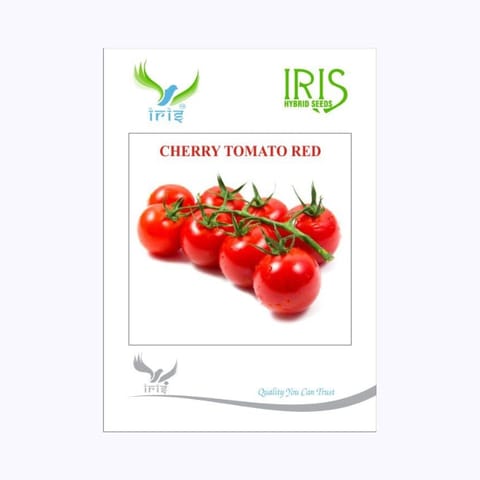 Iris Cherry Tomato Red Seeds