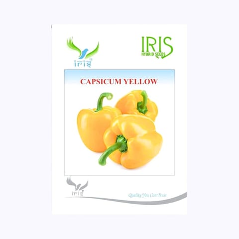 Iris Capsicum Yellow Seeds