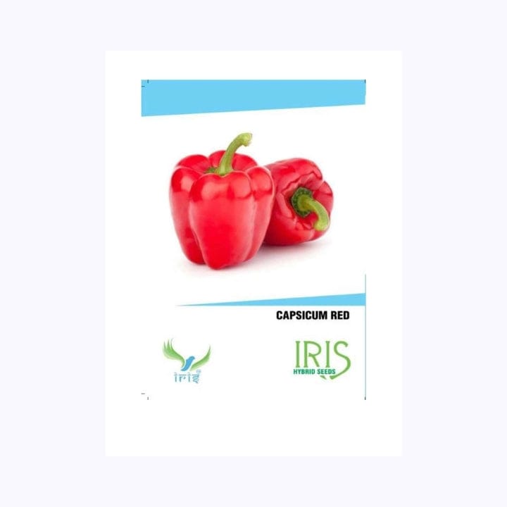 Iris Capsicum Red Seeds