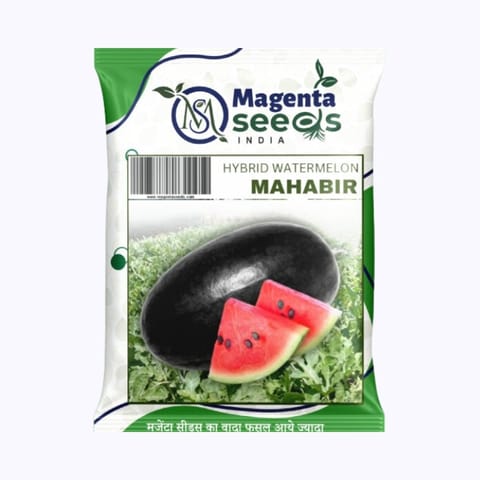 Magenta Mahabir Watermelon Seeds