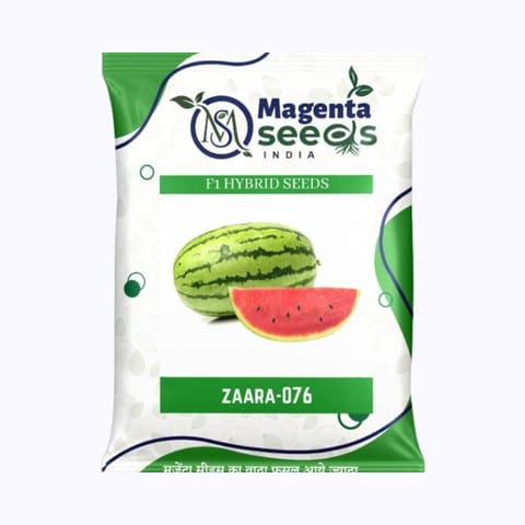 Magenta Zaara-076 Watermelon Seeds
