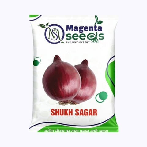 Magenta Shukh Sagar Onion Seeds