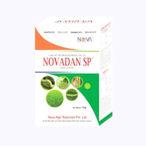 Nova Novadan SP Cartap Hydrochloride 50% SP Insecticide