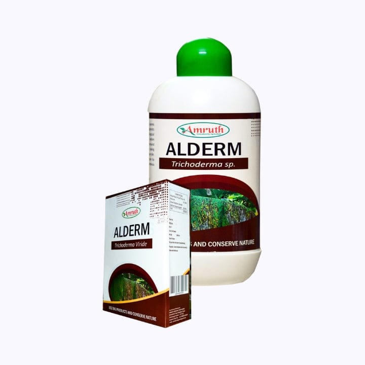 Amruth Alderm Trichoderma SP Bio Fungicide