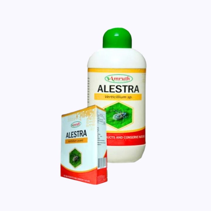 Amruth Alestra Verticillium SP Bio Pesticide