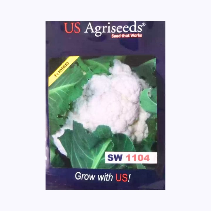US Agriseeds SW 1104 Cauliflower Seeds