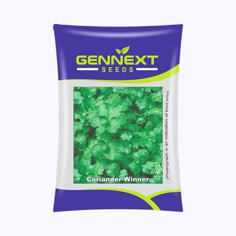 Gennext Winner Coriander Seeds