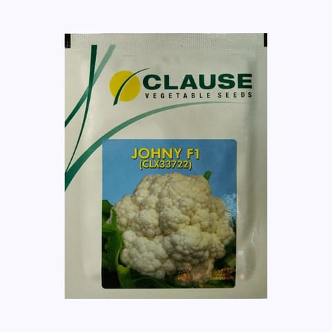 Clause Johny Cauliflower Seeds