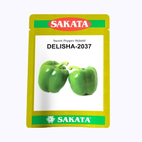 Sakata Delisha-2037 స్వీట్ పెప్పర్ (క్యాప్సికమ్) విత్తనాలు