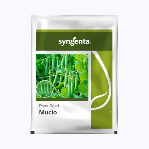 Syngenta Mucio Peas Seeds