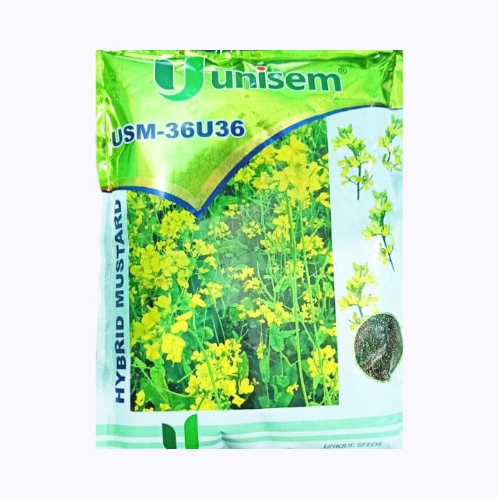 Unisem USM-36U36 Mustard Seeds