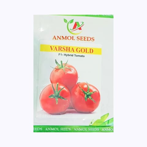 Anmol Varsha Gold Tomato Seeds
