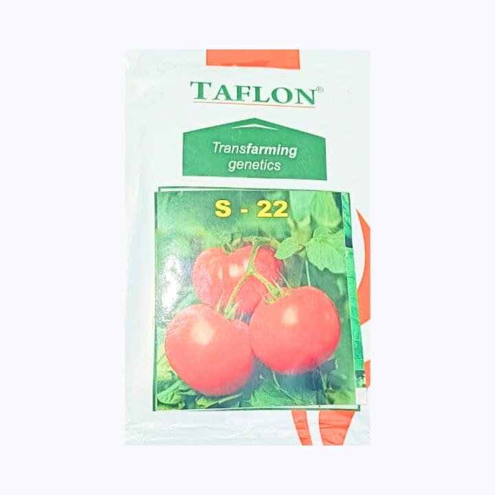 Taflon S-22 Tomato Seeds