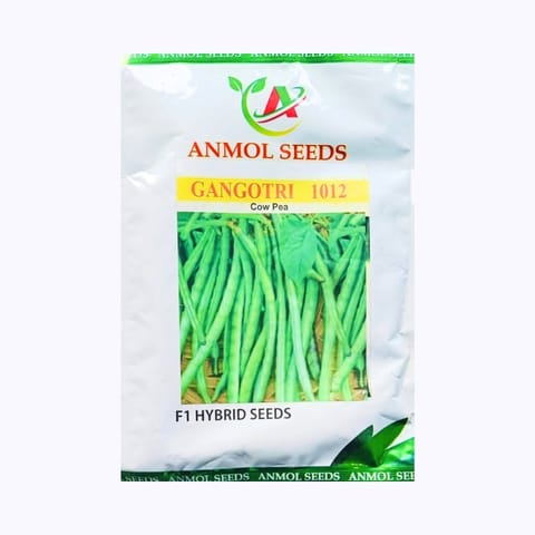 Anmol Gangotri 1012 Cow Pea Seeds