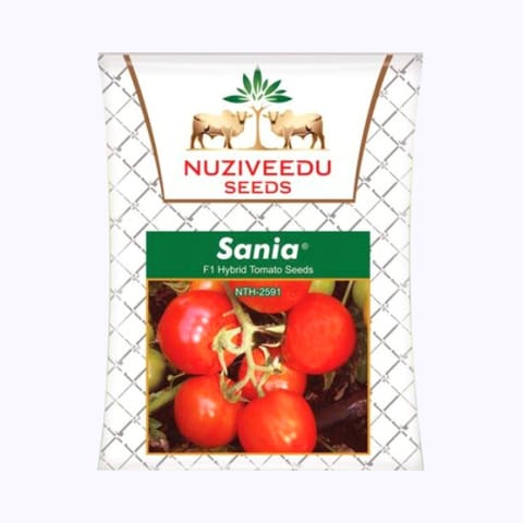 Nuziveedu Sania NTH-2591 Tomato Seeds