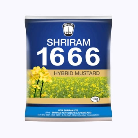 Shriram 1666 Mustard Seeds