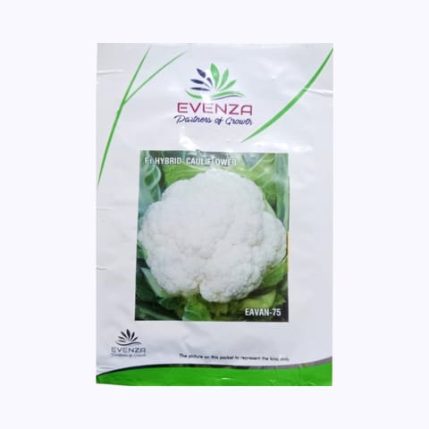 Evenza Eavan-75 Cauliflower Seeds