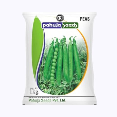 Pahuja PB-89 Pea Seeds