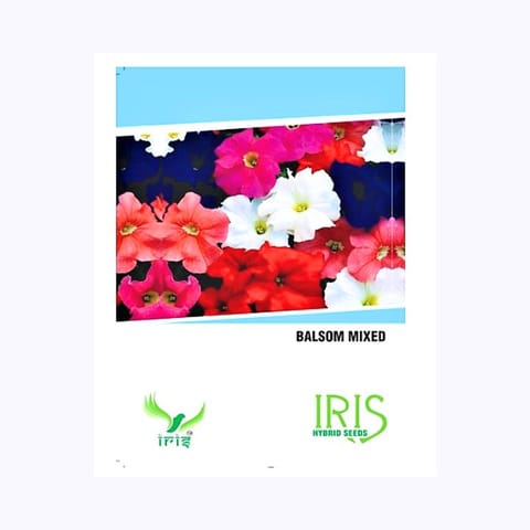 Iris Balsom Mixed Flower Seeds