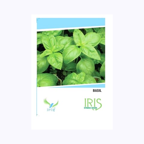 Iris Herb Basil Seeds