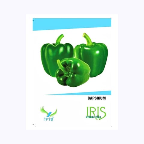 Iris Capsicum Seeds (Green)