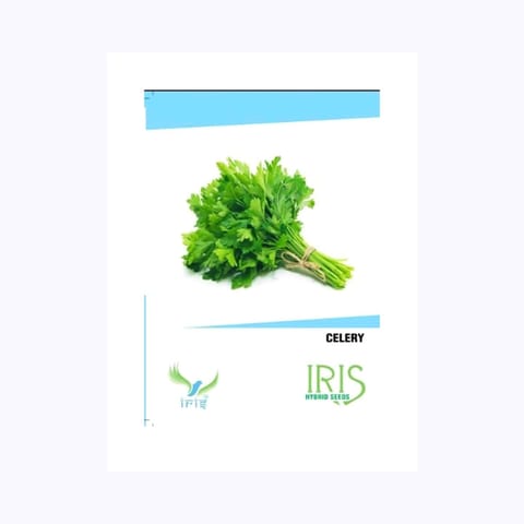 Iris Celery Coriander Seeds
