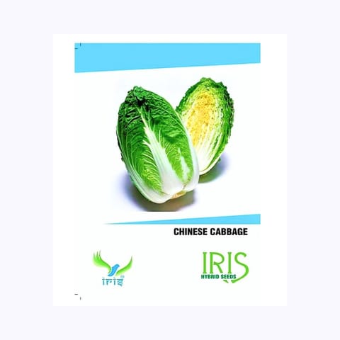 Iris Chinese Cabbage Seeds