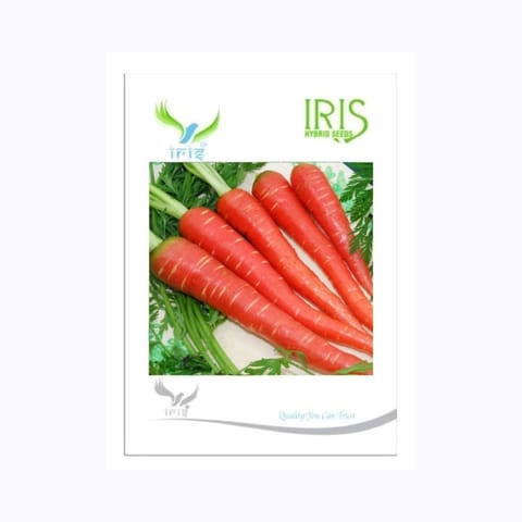Iris Carrot Seeds