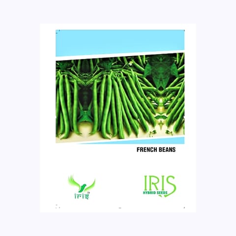 Iris French Beans Seeds