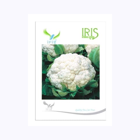 Iris Hybrid F1 Cauliflower Seeds