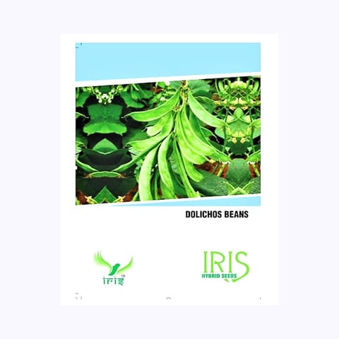 Iris Dolichos Beans (सेम) Seeds
